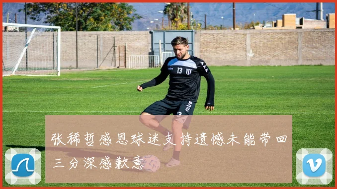 张稀哲感恩球迷支持遗憾未能带回三分深感歉意